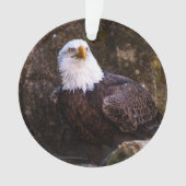 Aigle de Bald (devant)