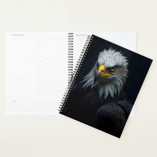 Aigle de Bald
