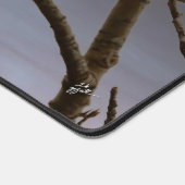 Aigle de Bald sous Pleine lune au coucher du solei (Coin)