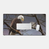 Aigle de Bald sous Pleine lune au coucher du solei (Clavier et souris)