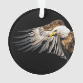 Aigle de Bald sur l'aile (dos)