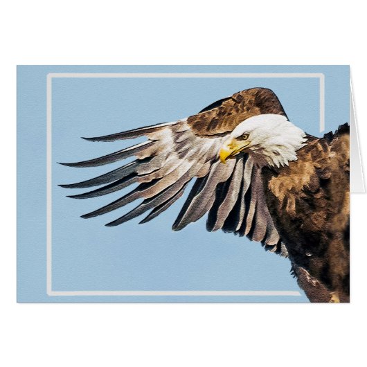 Aigle de Bald sur l'aile (Devant horizontal)