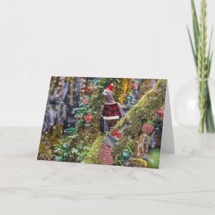 Aigle de Noël