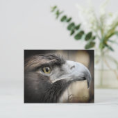 Aigle d'or : Carte postale (Debout devant)