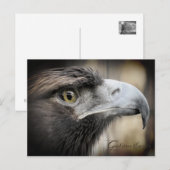 Aigle d'or : Carte postale (Devant / Derrière)
