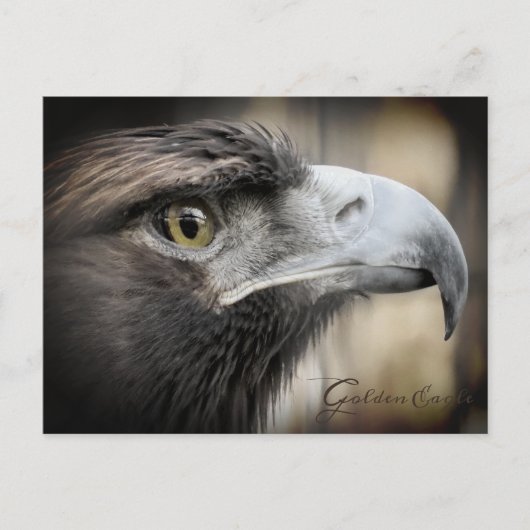 Aigle d'or : Carte postale (Devant)