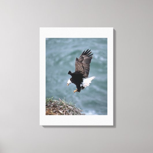 Aigle en toile (Recto)