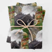 Aigle - Envelopper les feuilles de papier (En situation)