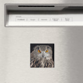 Aigle magnet (In Situ (Lave-vaisselle))
