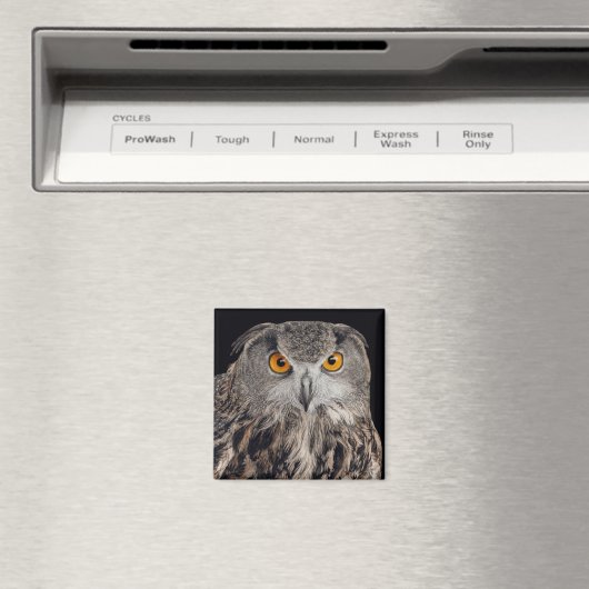 Aigle magnet (In Situ (Lave-vaisselle))