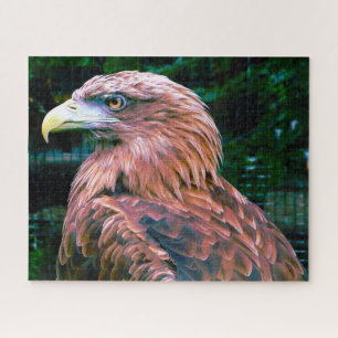 Aigle Royal Oiseau de Proie. Puzzle
