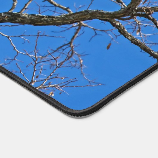 Aigle Royal Sur Fond Bleu (Coin)