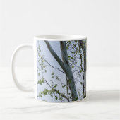Aigle Surveillez La Mug De Café (Gauche)
