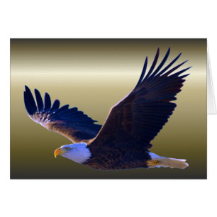 Aigle volant