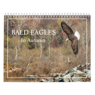 Aigles Balles Dans Le Calendrier Automne