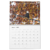 Aigles Balles Dans Le Calendrier Automne (Mar 2027)