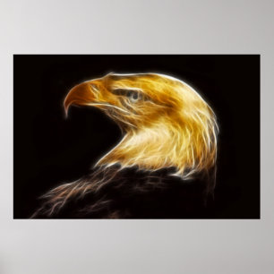 Aigles chauds avec affiche