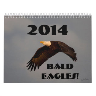 Aigles chauves 2014 de calendrier mural de faune