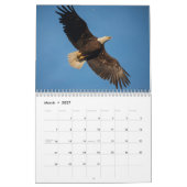 Aigles chauves 2014 de calendrier mural de faune (Mar 2027)