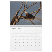 Aigles chauves 2014 de calendrier mural de faune (Jan 2027)
