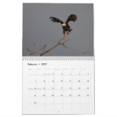 Aigles chauves 2014 de calendrier mural de faune (Feb 2027)