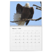Aigles chauves de Columbiana Calendrier Ohio (Feb 2026)