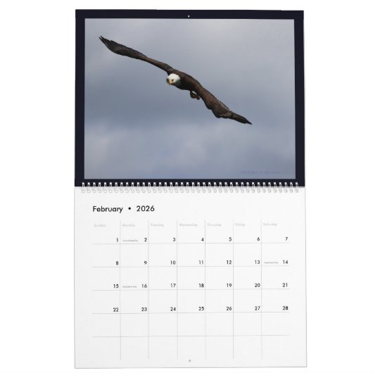 Aigles en Alaska II Calendrier (Feb 2026)