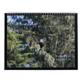 Aigles en Alaska II Calendrier