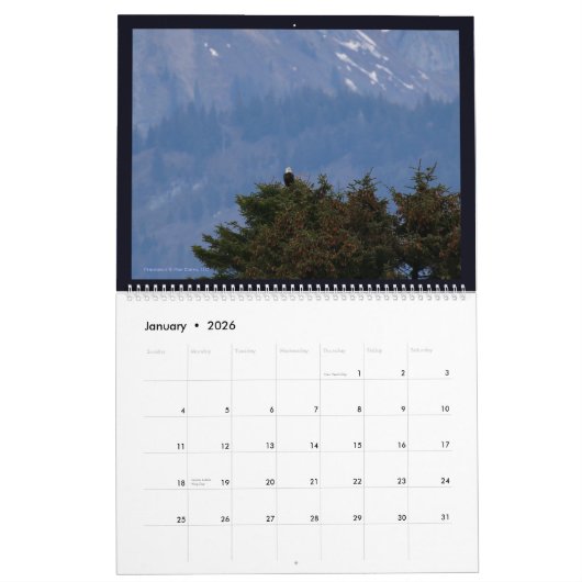 Aigles en Alaska II Calendrier (Jan 2026)