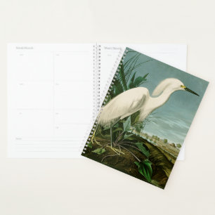 Aigrette neigeuse d'Audubon oiseau héron blanc orn
