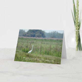 Aigrette op Gebied van de Kaart van Bloemen