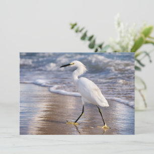 Aigrette sur carte de voeux riveraine