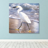 Aigrette sur toile de fond de rivage (Insitu (Plancher de Bois))
