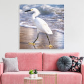 Aigrette sur toile de fond de rivage (Insitu(Salon))