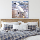 Aigrette sur toile de fond de rivage (Insitu(Chambre))