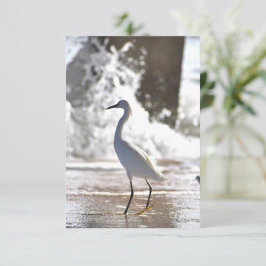 Aiguille à la carte de note de plage (Debout devant)