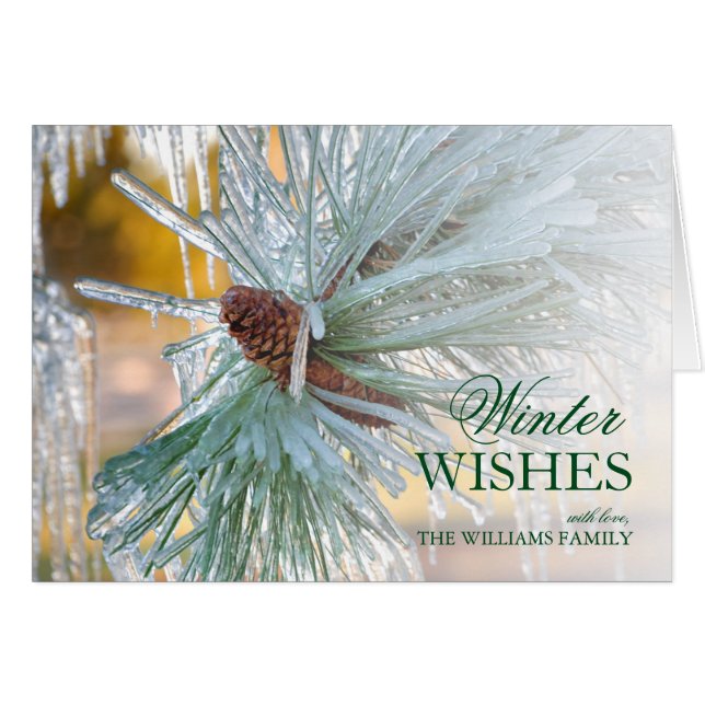 aiguilles de pin encerclées dans la glace (Devant horizontal)