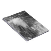 Aiguilles De Pins Dans Le Carnet Naturel De Neige (Côté Droit)