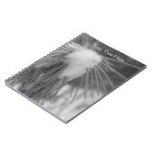 Aiguilles De Pins Dans Le Carnet Naturel De Neige (Côté gauche)