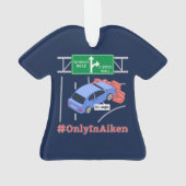 Aiken, SC, Mème de mur de briques (dos)