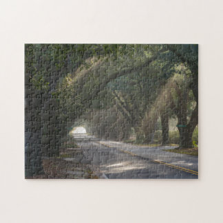 Aiken, SC, South Boundary Ave. Live eik Legpuzzel