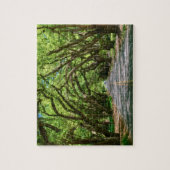 Aiken's Zuid-Boundary puzzel (Verticaal)