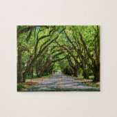 Aiken's Zuid-Boundary puzzel Legpuzzel (Horizontaal)