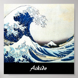 Aikido Japanse martial Art Poster