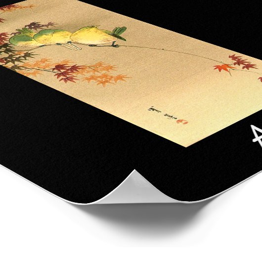 Aikido Japanse martial Art Poster (Hoek)