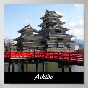 Aikido Japanse martial Art Poster