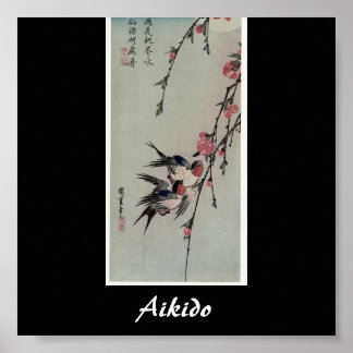 Aikido Japanse martial Art Poster