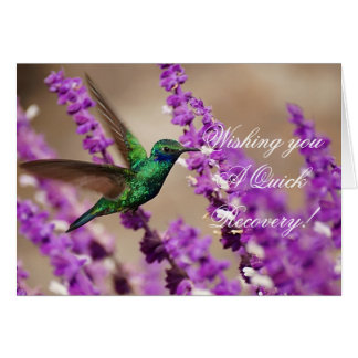 Ailes de colibri de Violet-oreilles de