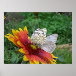 Ailes de grâce (4) Poster