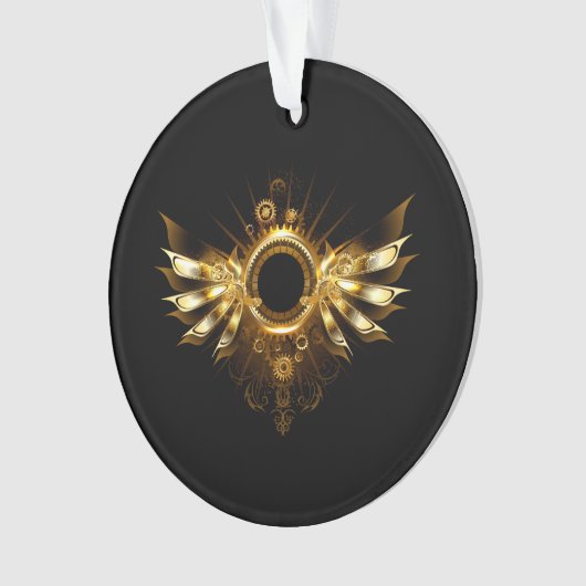 Ailes de Steampunk (devant)